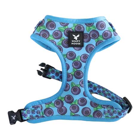 Soapy Moose Blueberries Adjustable Cat Harness Extra Small***-Habitat Pet Supplies