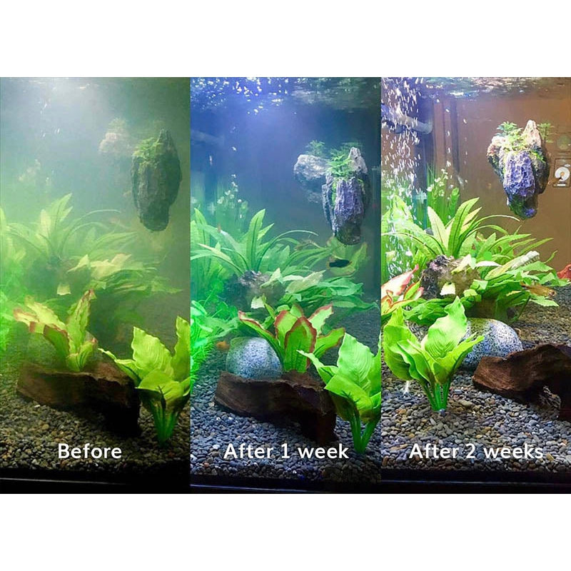 Splosht Aquarium Pack 20L to 500L