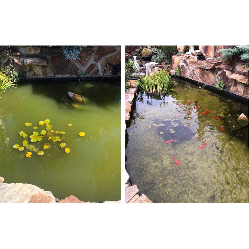 Splosht Pond/Water Feature Water Cleaner Large