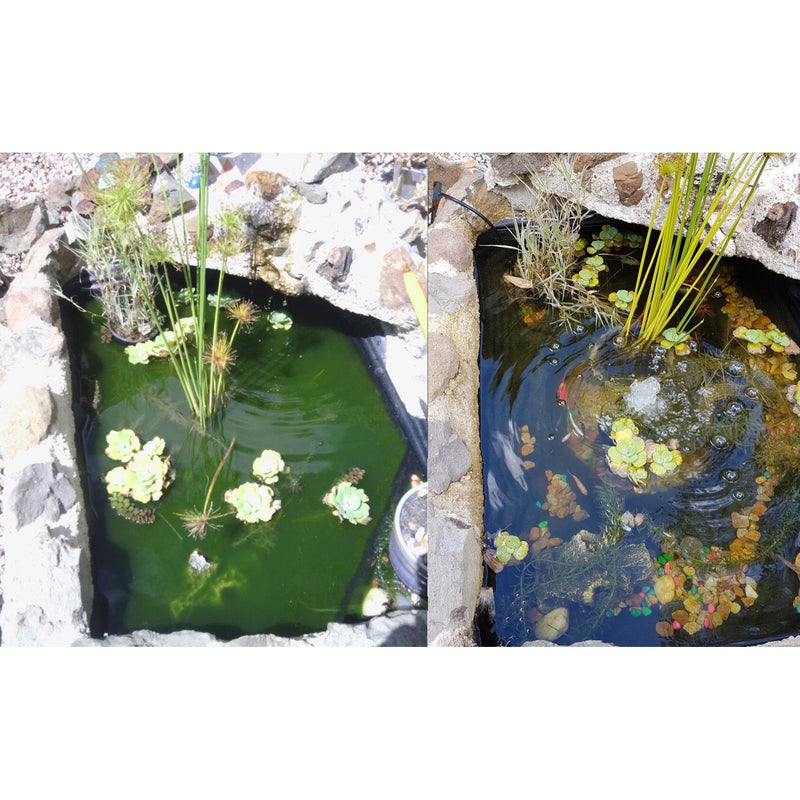 Splosht Pond/Water Feature Water Cleaner Small