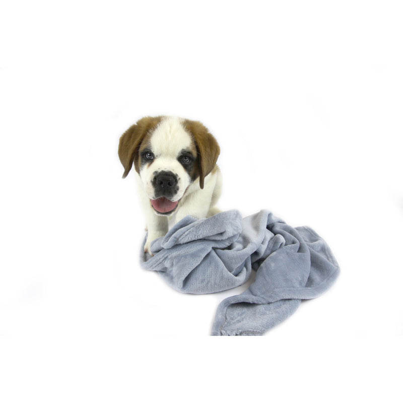 T&S Snuggle Blue Dog Blanket Large