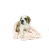 T&S Snuggle Pink Dog Blanket Large