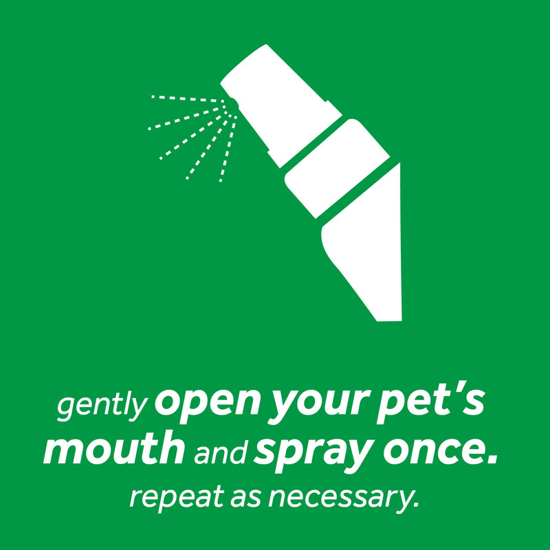 Tropiclean Fresh Breath Instant Fresh Foam 133ml