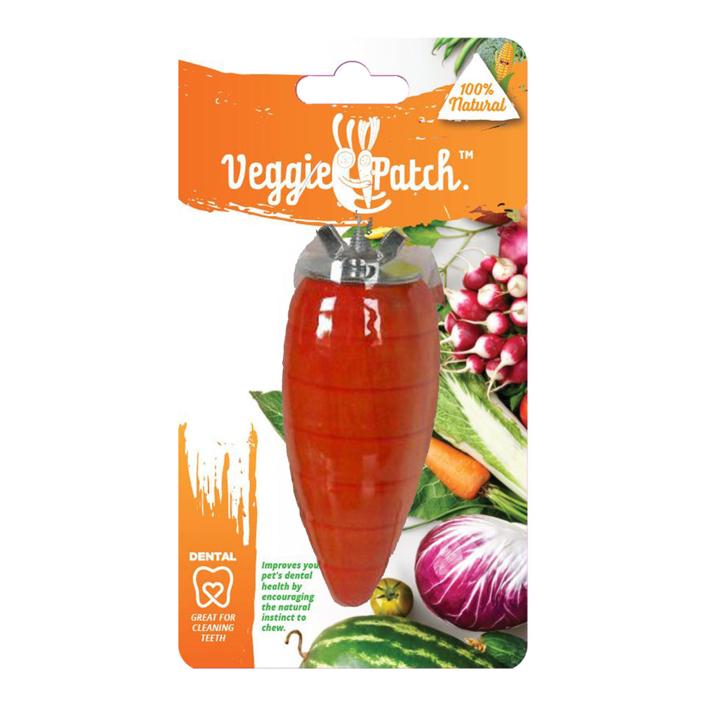 Veggie Patch Carrot to Gnaw Small Animal Treat-Habitat Pet Supplies