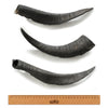 WAG GOAT HORN LARGE - Habitat Pet Supplies Altona & Chirnside Park