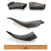WAG GOAT HORN MEDIUM - Habitat Pet Supplies Altona & Chirnside Park