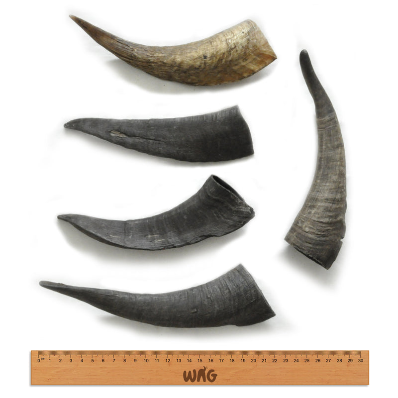 WAG GOAT HORN SMALL - Habitat Pet Supplies Altona & Chirnside Park