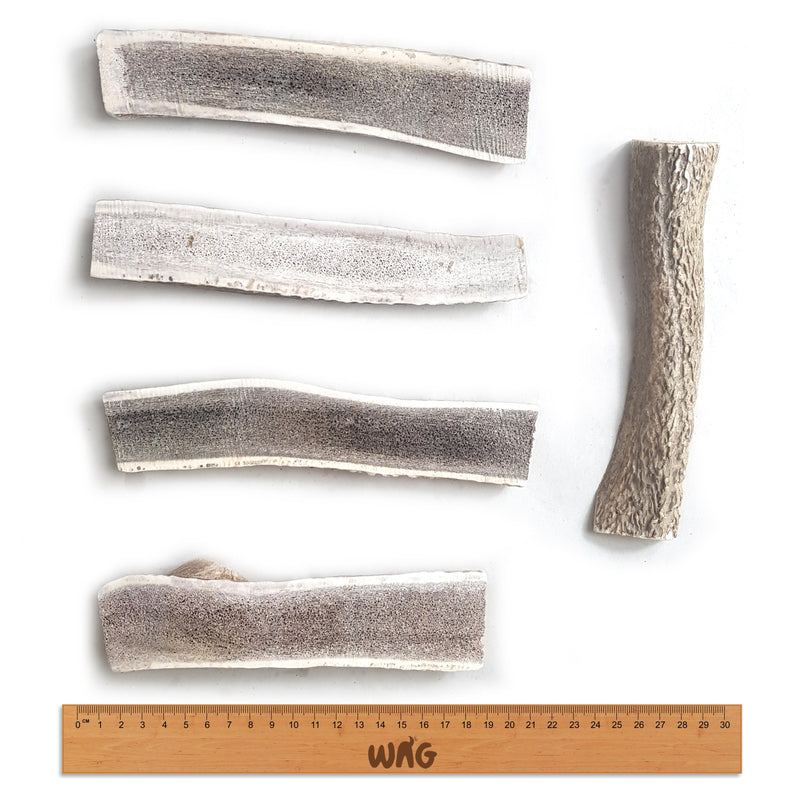 WAG ANTLER SPLIT LARGE - Habitat Pet Supplies Altona & Chirnside Park