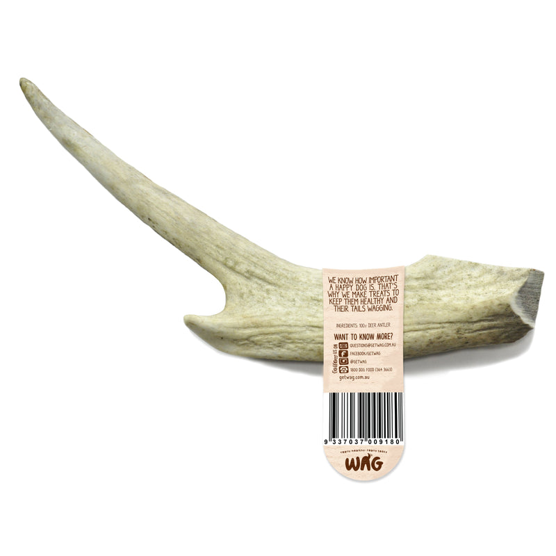 WAG WHOLE LARGE ANTLER - Habitat Pet Supplies Altona & Chirnside Park