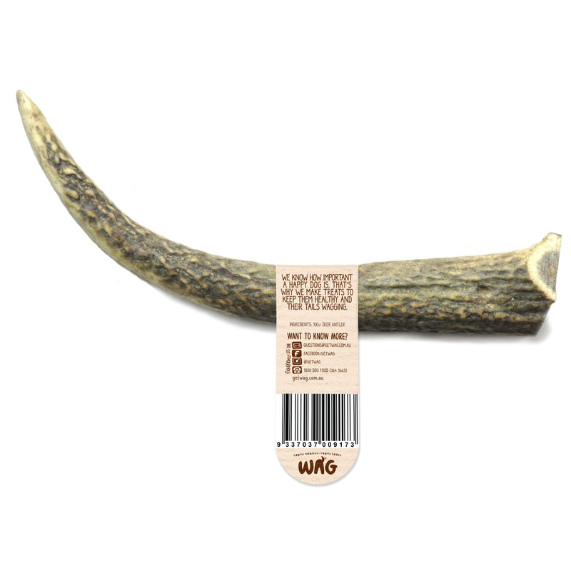 WAG WHOLE MEDIUM ANTLER - Habitat Pet Supplies Altona & Chirnside Park