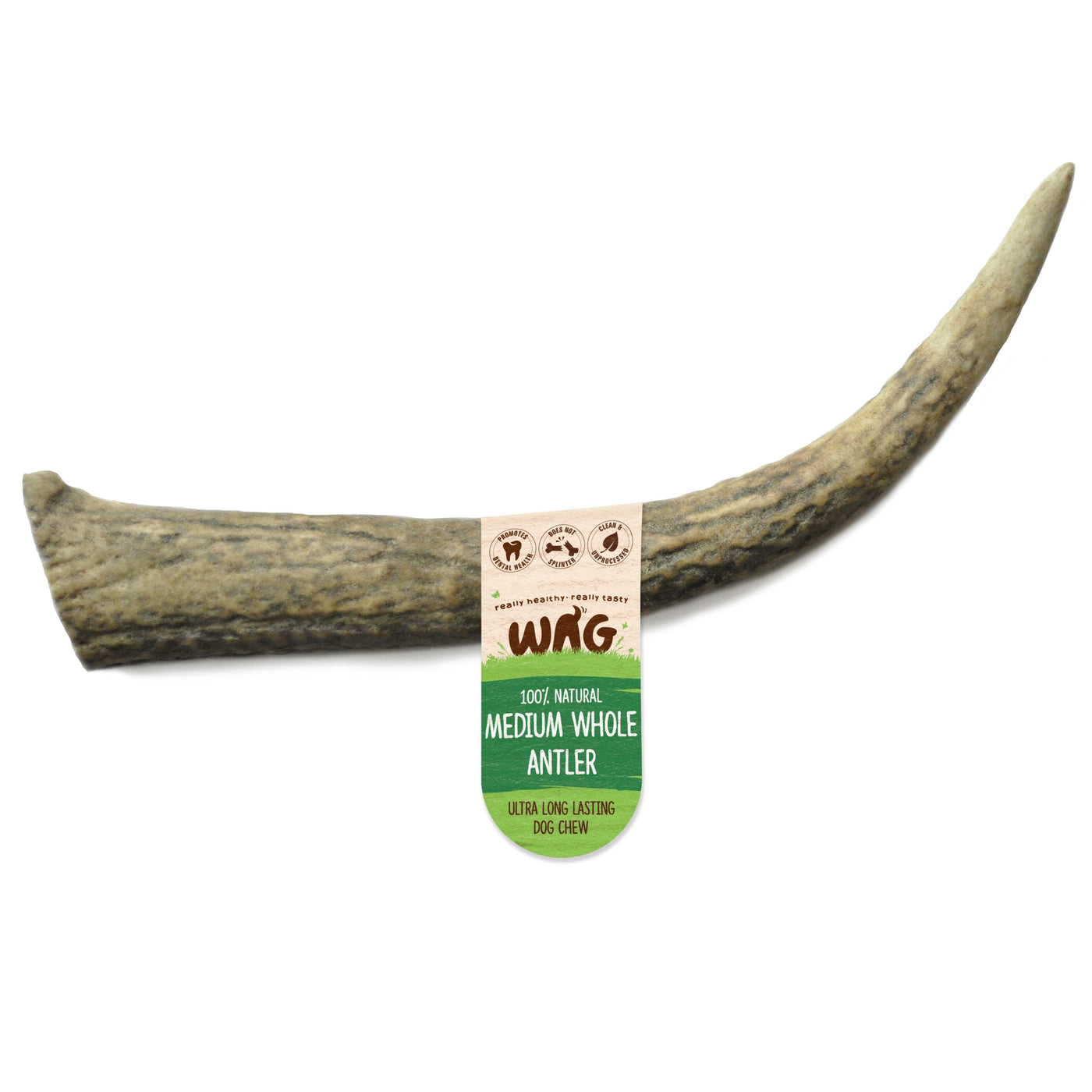 Wag Whole Antler Medium Dog Chew Treat – Habitat Pet Supplies