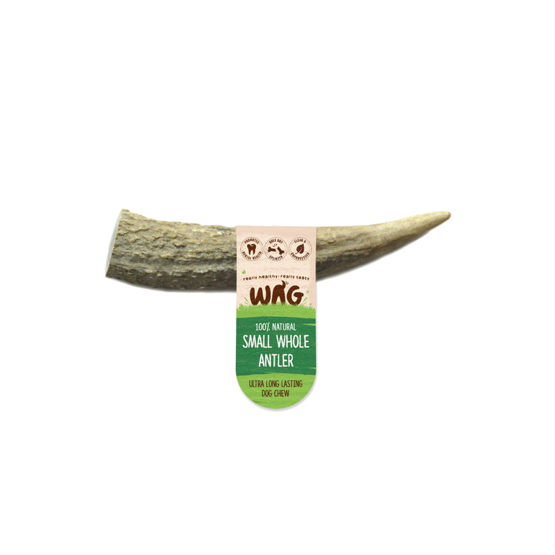 Wag Whole Antler Small Dog Chew Treat-Habitat Pet Supplies