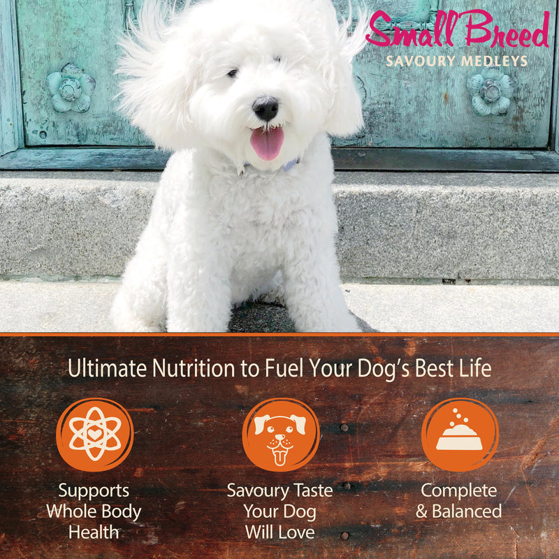 Wellness CORE Savoury Medleys Chicken, Beef, Green Beans and Red Peppers Wet Small Dog Food 85g x 12