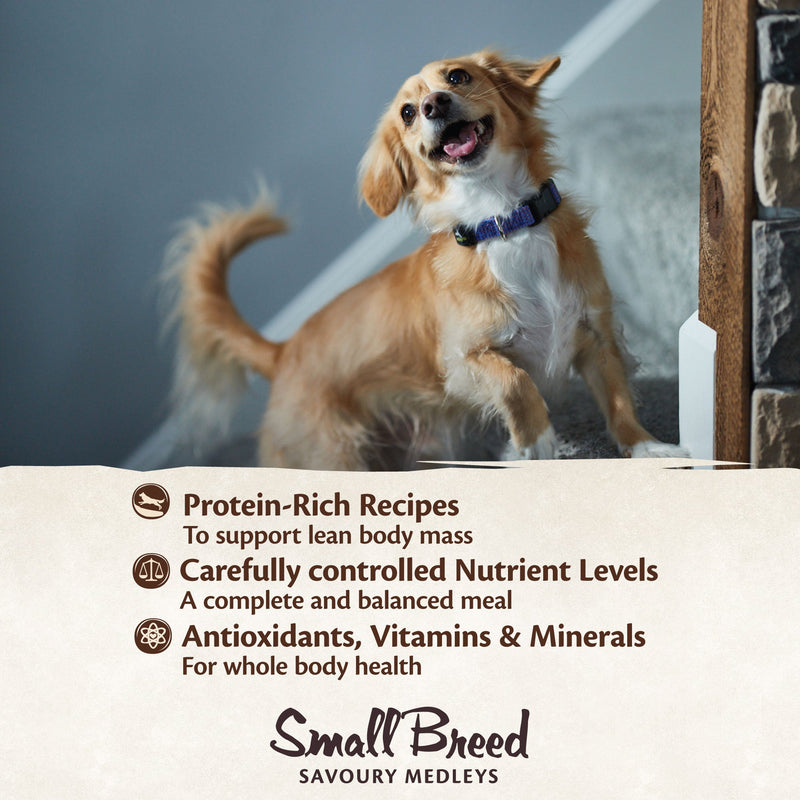 Wellness CORE Savoury Medleys Chicken, Beef, Green Beans and Red Peppers Wet Small Dog Food 85g x 12