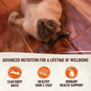 Wellness CORE Signature Selects Flaked Skipjack Tuna with Shrimp Entrée Wet Cat Food 79g x 12