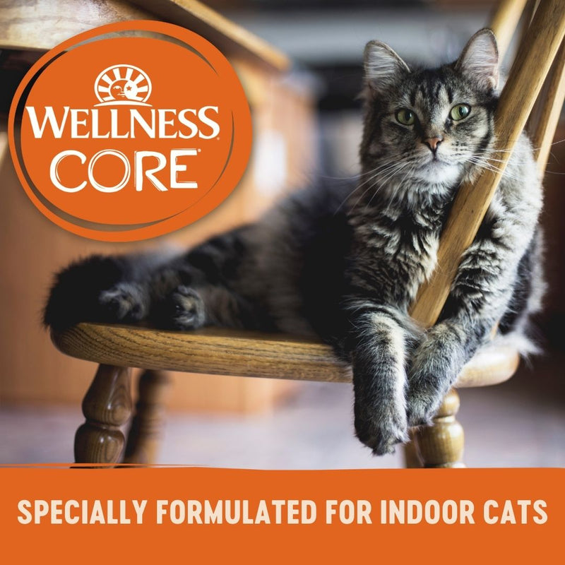 Wellness CORE Signature Selects Paté Chicken Entrée Indoor Wet Cat Food 79g x 12