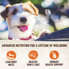 Wellness CORE Simply Shreds Shredded Chicken, Chicken Liver and Broccoli Wet Dog Food 79g