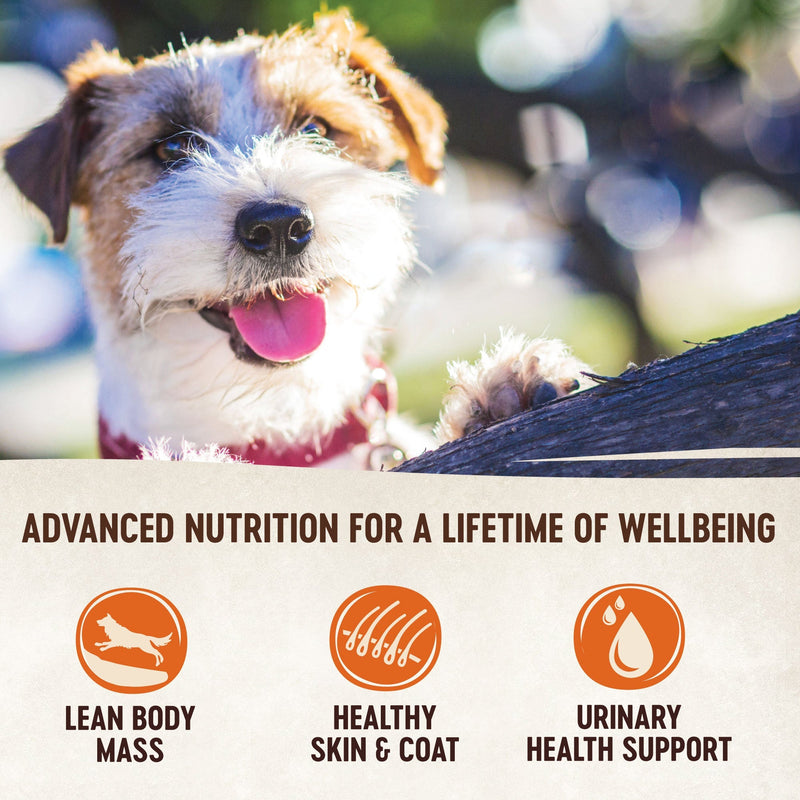 Wellness CORE Simply Shreds Shredded Chicken, Chicken Liver and Broccoli Wet Dog Food 79g