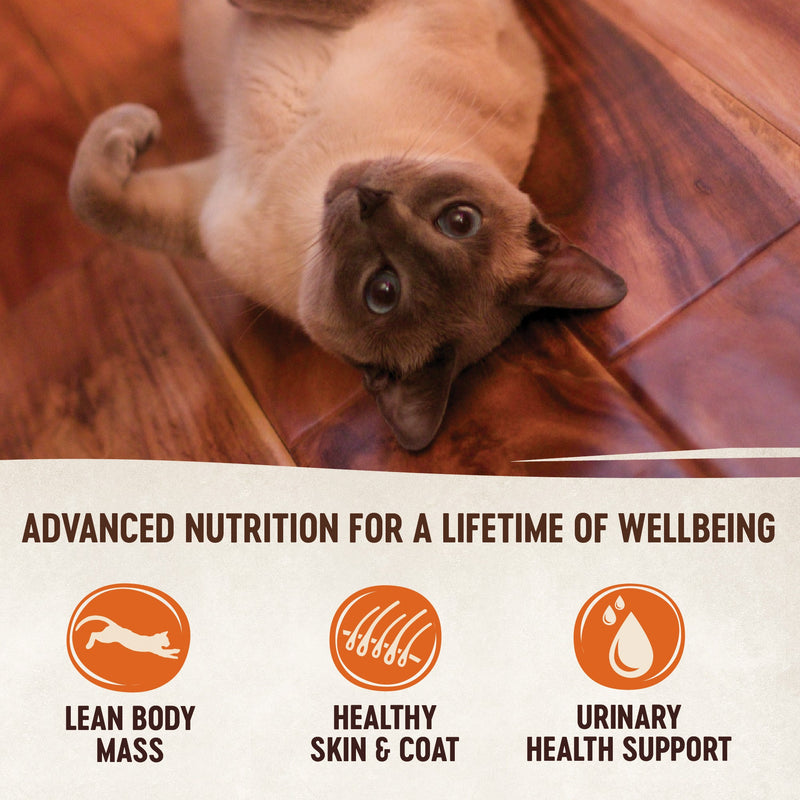 Wellness CORE Tiny Tasters Chicken and Beef Paté Wet Cat Food 50g