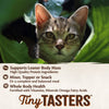 Wellness CORE Tiny Tasters Duck Paté Wet Cat Food 50g