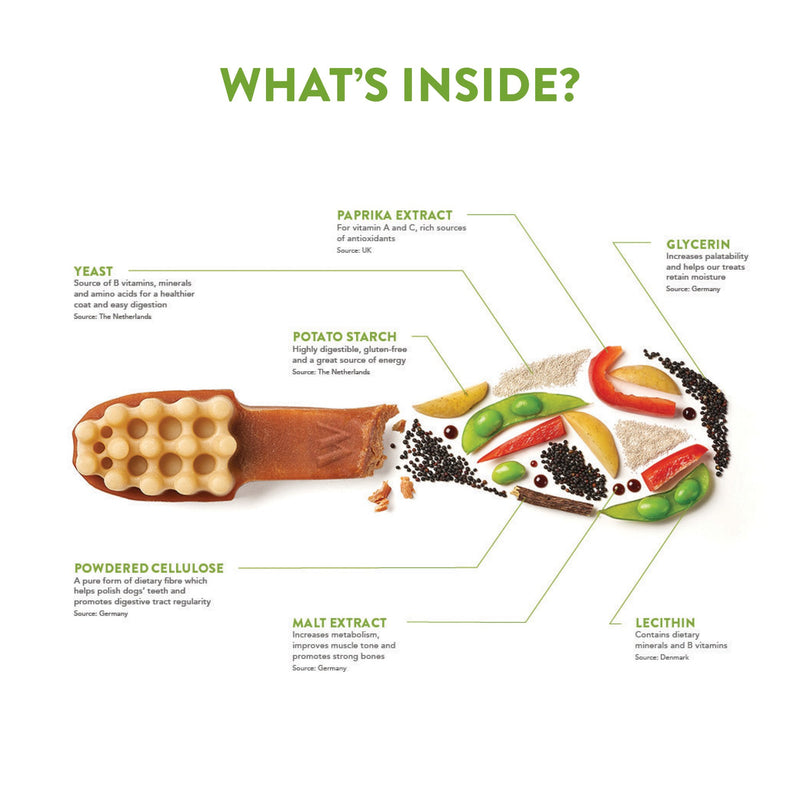 Whimzees Toothbrush Dental Dog Treats Large 6 Pack