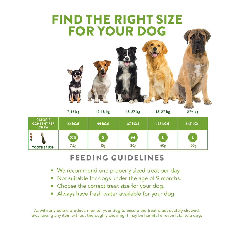 Whimzees Toothbrush Dental Dog Treats Large 6 Pack