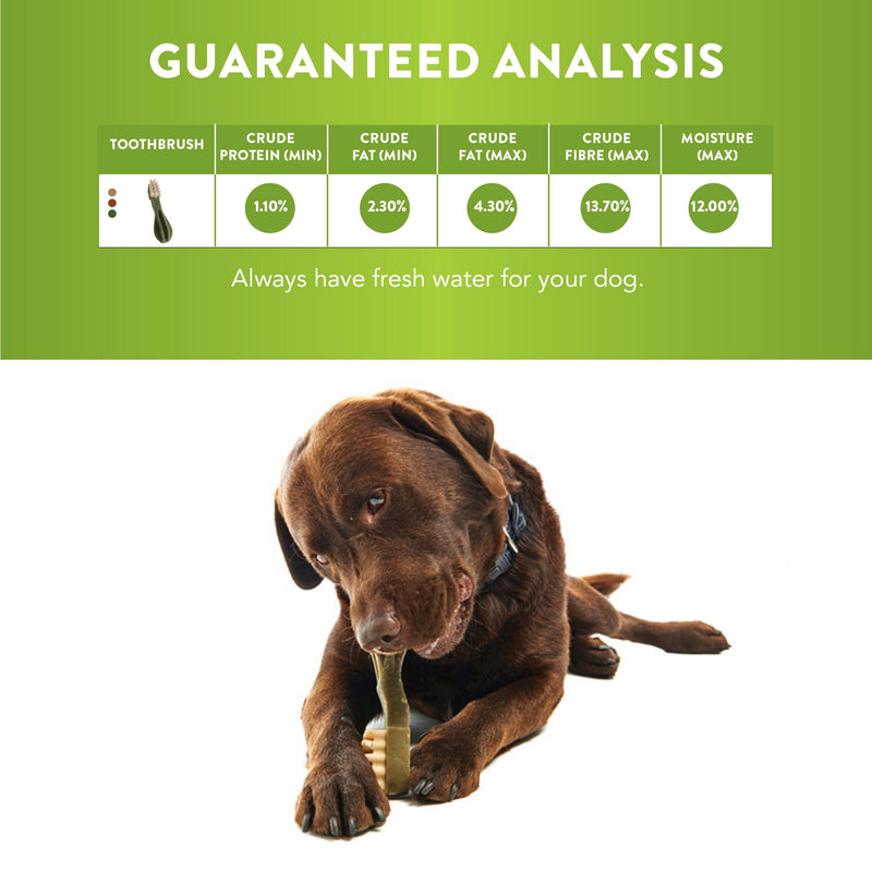 Whimzees Toothbrush Dental Dog Treats Large 6 Pack