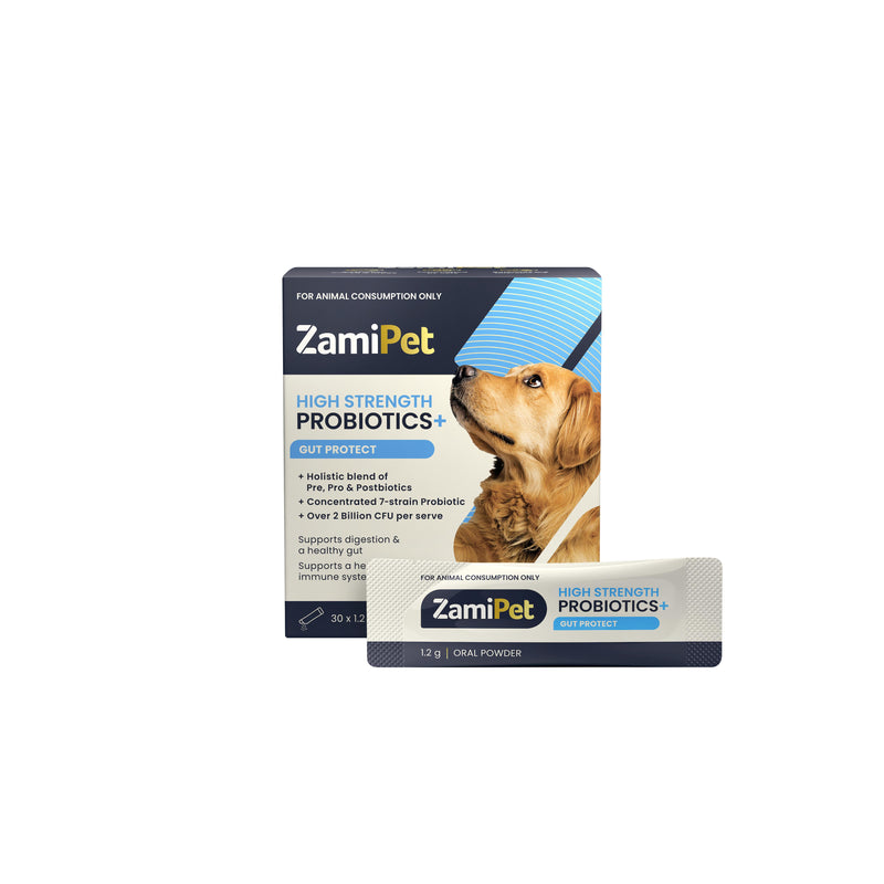 ZamiPet High Strength Probiotics Gut Protect for Dogs 30 Sachets-Habitat Pet Supplies