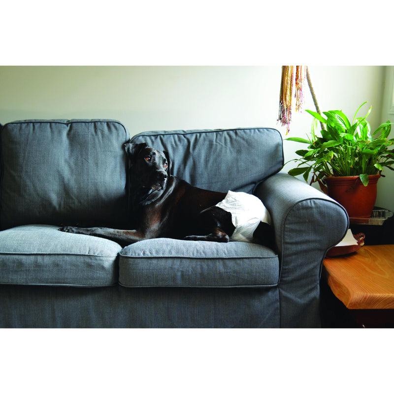 ZeeZ Disposable Dog Diapers Extra Small 12 Pack (+_+)