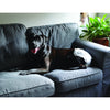 ZeeZ Disposable Dog Diapers Extra Small 12 Pack (+_+)