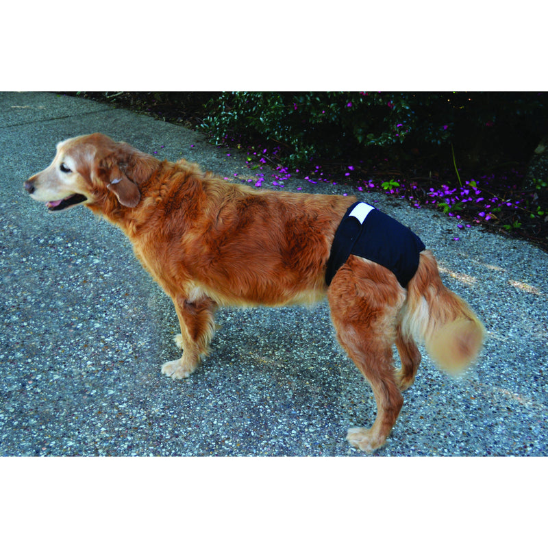 ZeeZ Washable Dog Diaper Extra Large