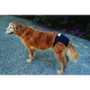 ZeeZ Washable Dog Diaper Large (+_+)