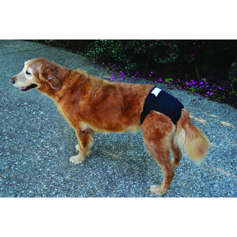 ZeeZ Washable Dog Diaper Large (+_+)