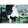 ZeeZ Washable Male Dog Wrap Medium :->>