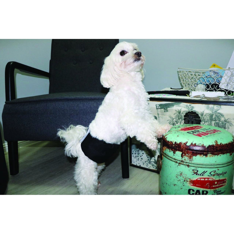 ZeeZ Washable Male Dog Wrap Medium :->>