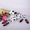 ZeeZ Waterproof Dog Boots Small (+_+)