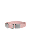 frank green Blushed Dog Collar and Tag Large-Habitat Pet Supplies