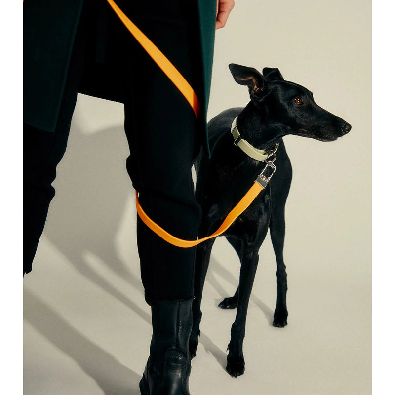 frank green Blushed Dog Lead
