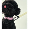 frank green Blushed Dog Lead