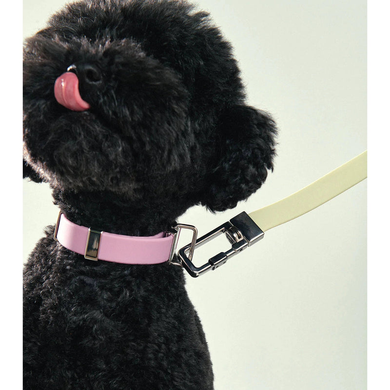 frank green Blushed Dog Lead
