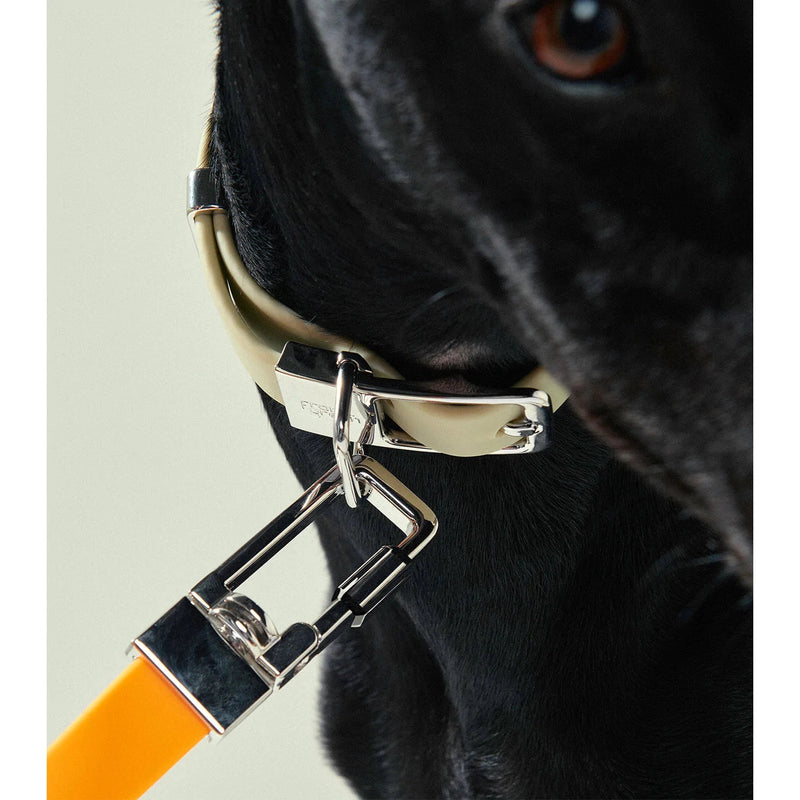frank green Blushed Dog Lead
