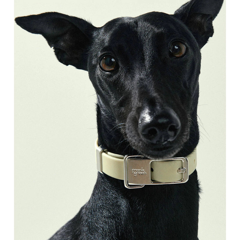 frank green Lilac Haze Dog Collar and Tag Small