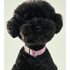 frank green Lilac Haze Dog Collar and Tag Small