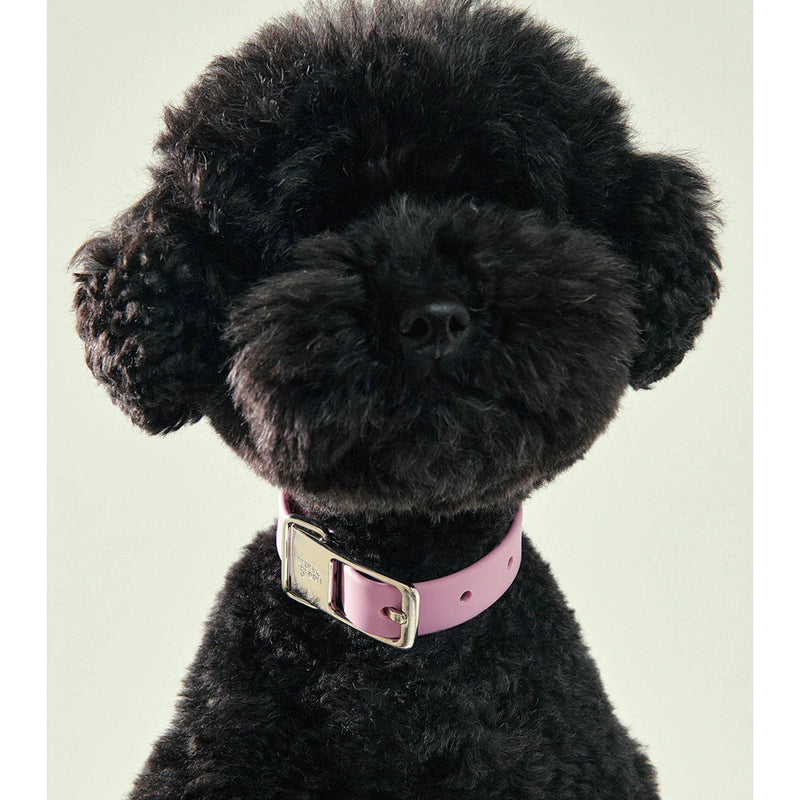 frank green Lilac Haze Dog Collar and Tag Small