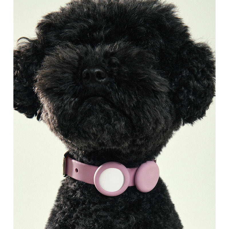 frank green Lilac Haze Dog Safety Light Medium