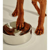 frank green Stainless Steel Dog Bowl Large