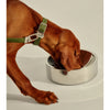 frank green Stainless Steel Dog Bowl Large