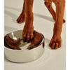 frank green Stainless Steel Dog Bowl Medium