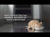 Hills Science Diet Kitten Tender Dinners Chicken Canned Cat Food 156g