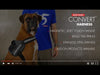 EzyDog Convert Dog Harness Blue Medium